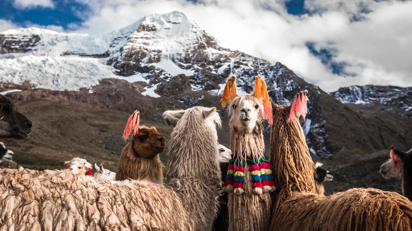 Vuelos a Cusco