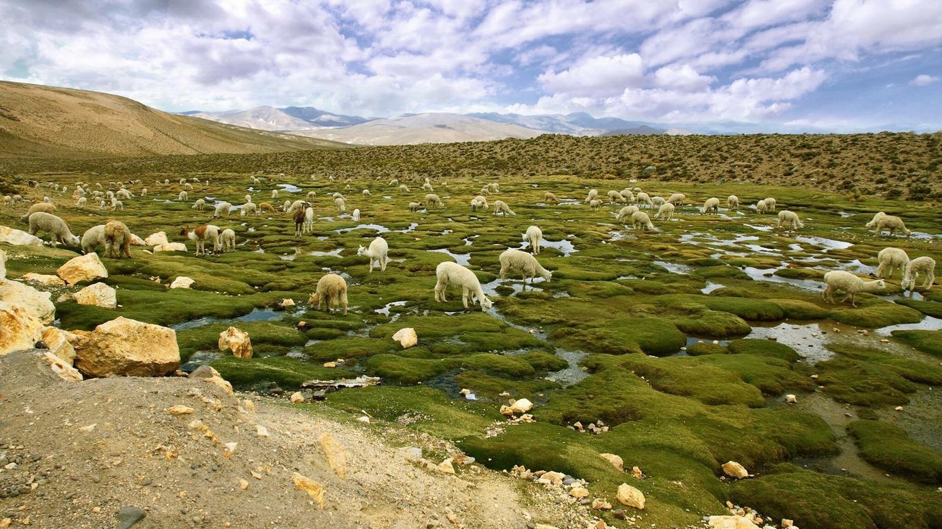 Vuelos a Atacama