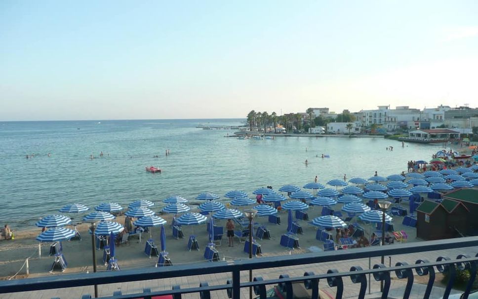 Otros Foto
