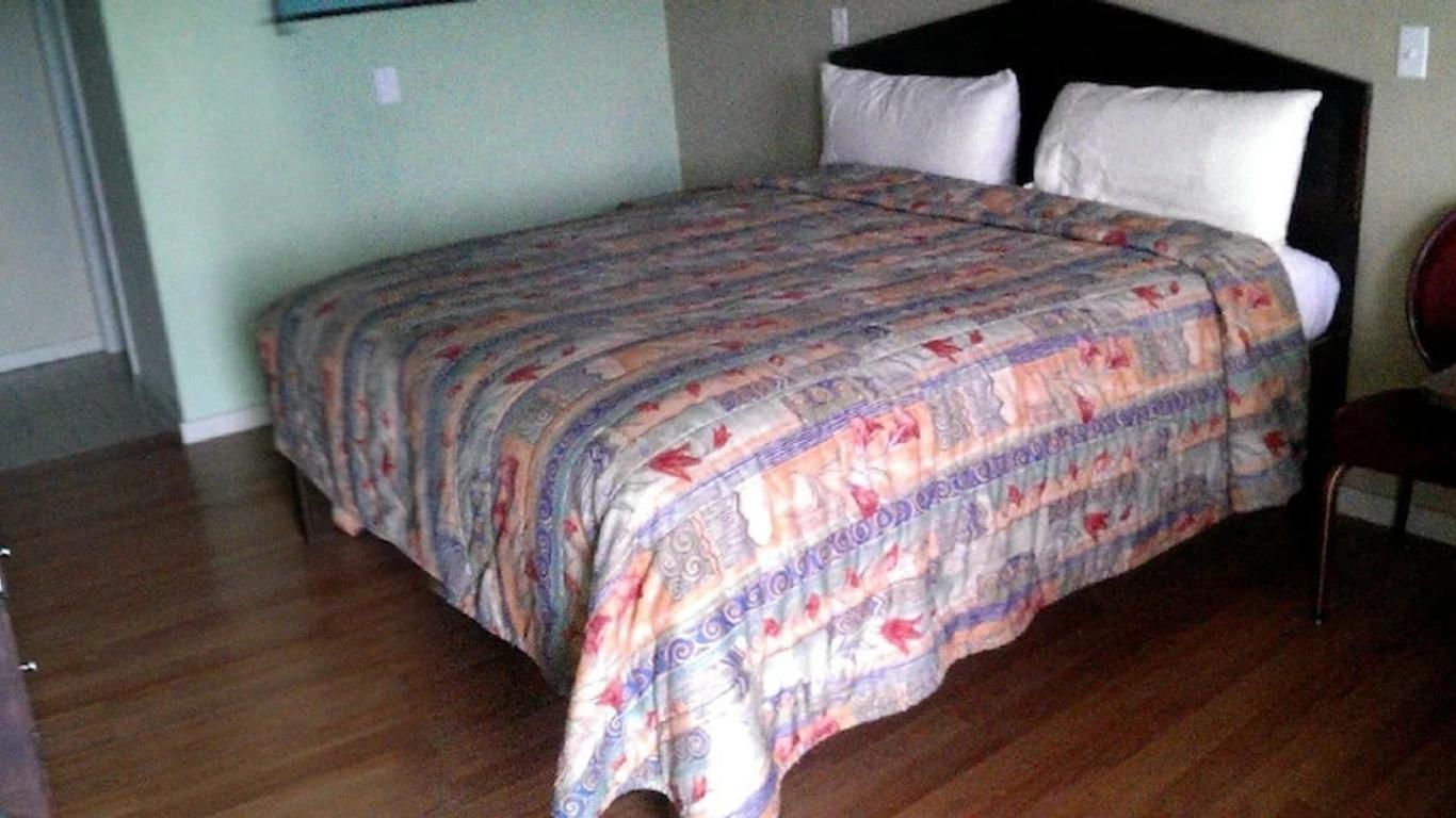 Imagen principal