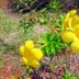 Vista del exterior