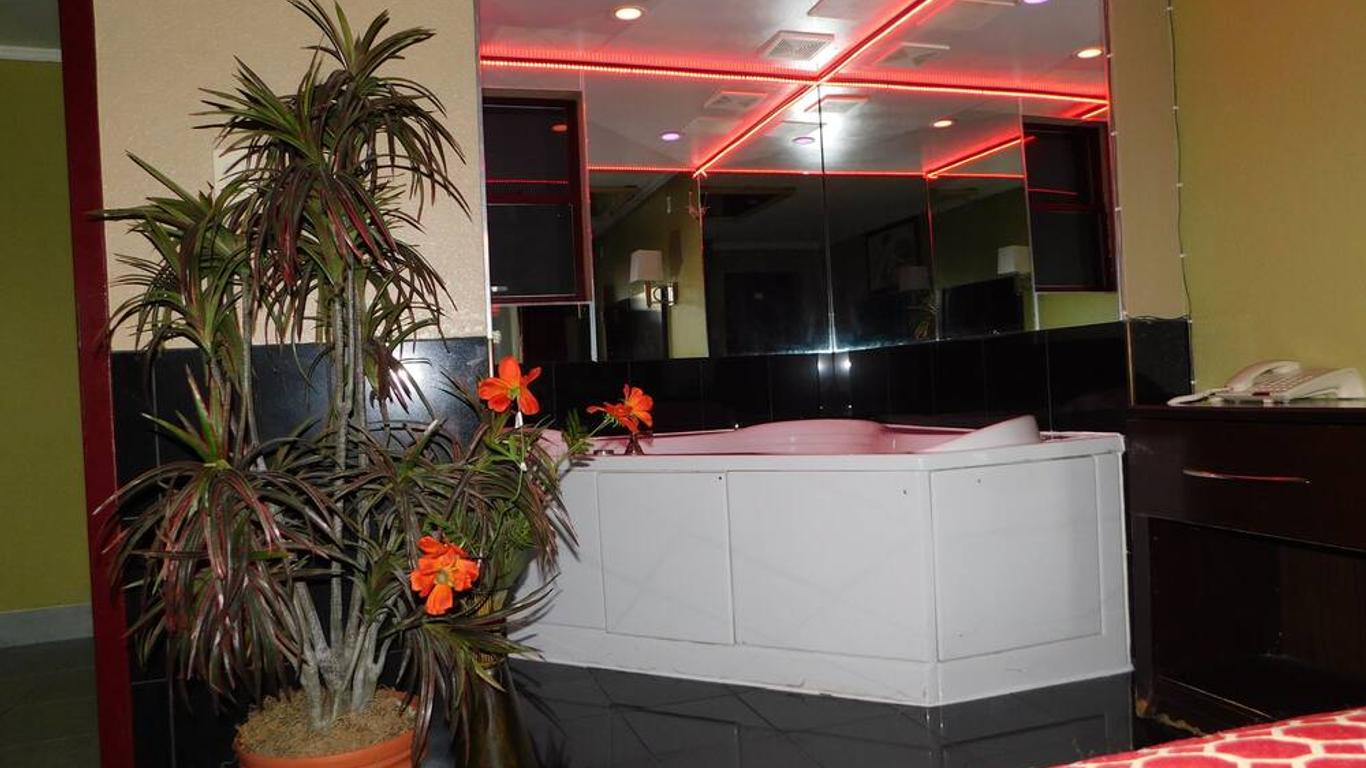 Imagen principal