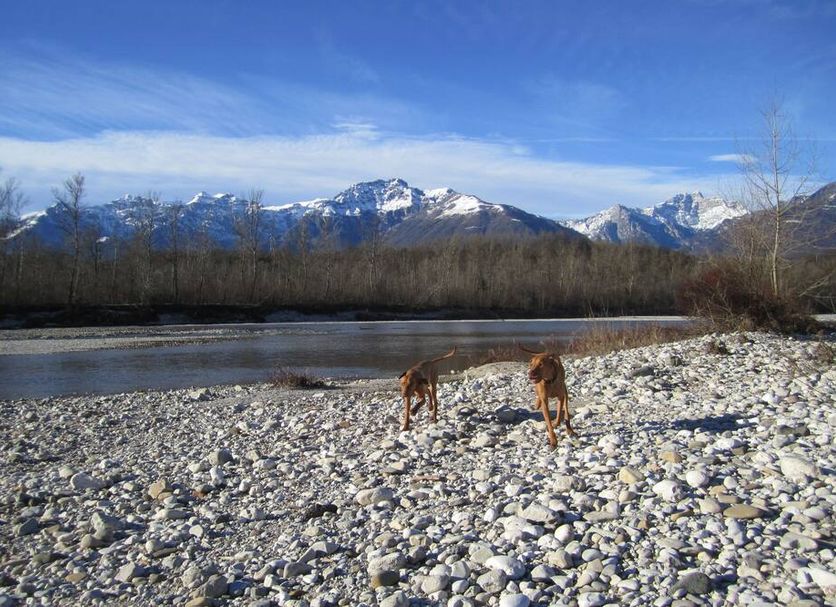 Otros Foto