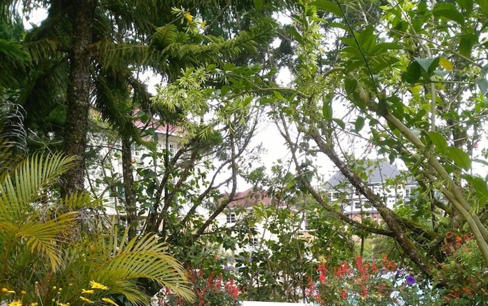 Vista del exterior Foto