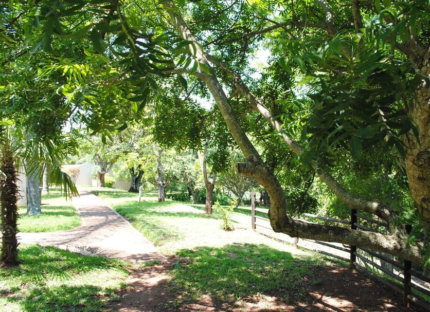 Vista del exterior Foto