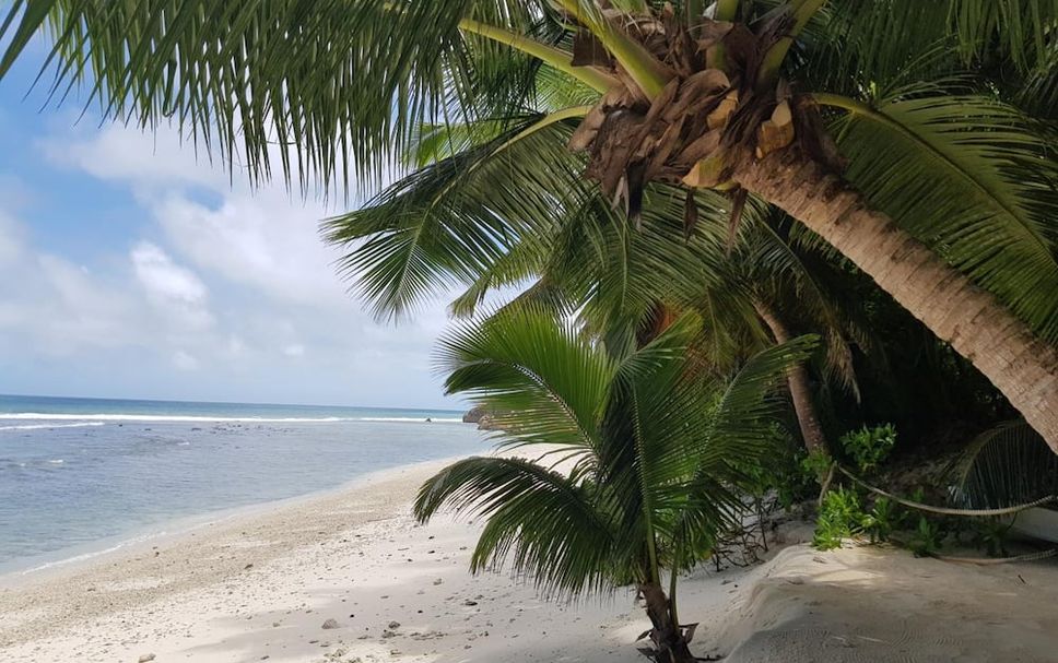 Playa Foto