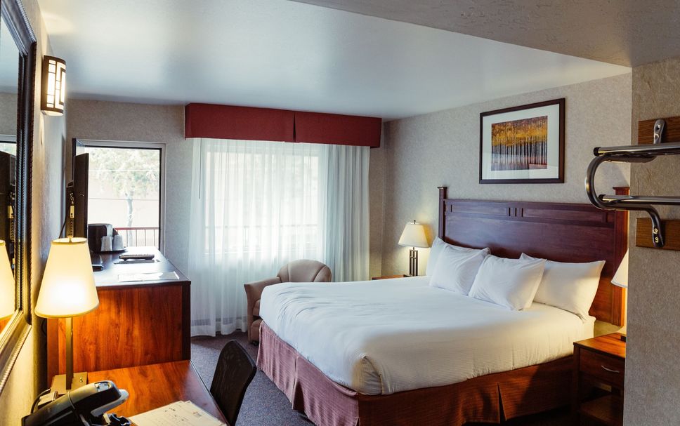 Otros Foto