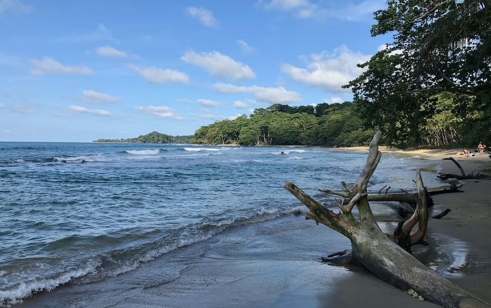 Playa Foto