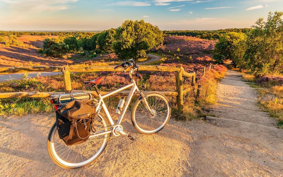 Servicio del hotel Foto