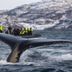Otros