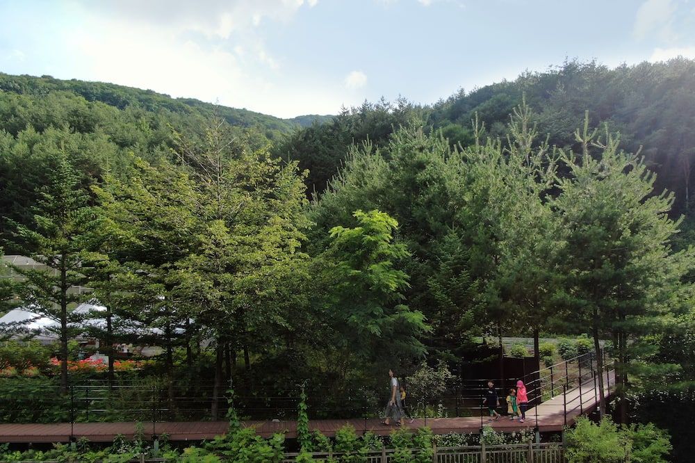 Vista del exterior