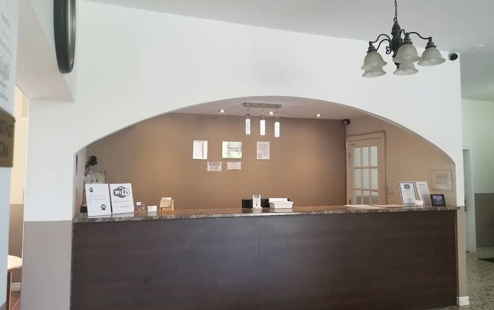 Recepción Foto