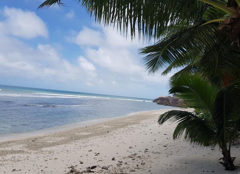Playa Foto
