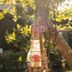 Otros