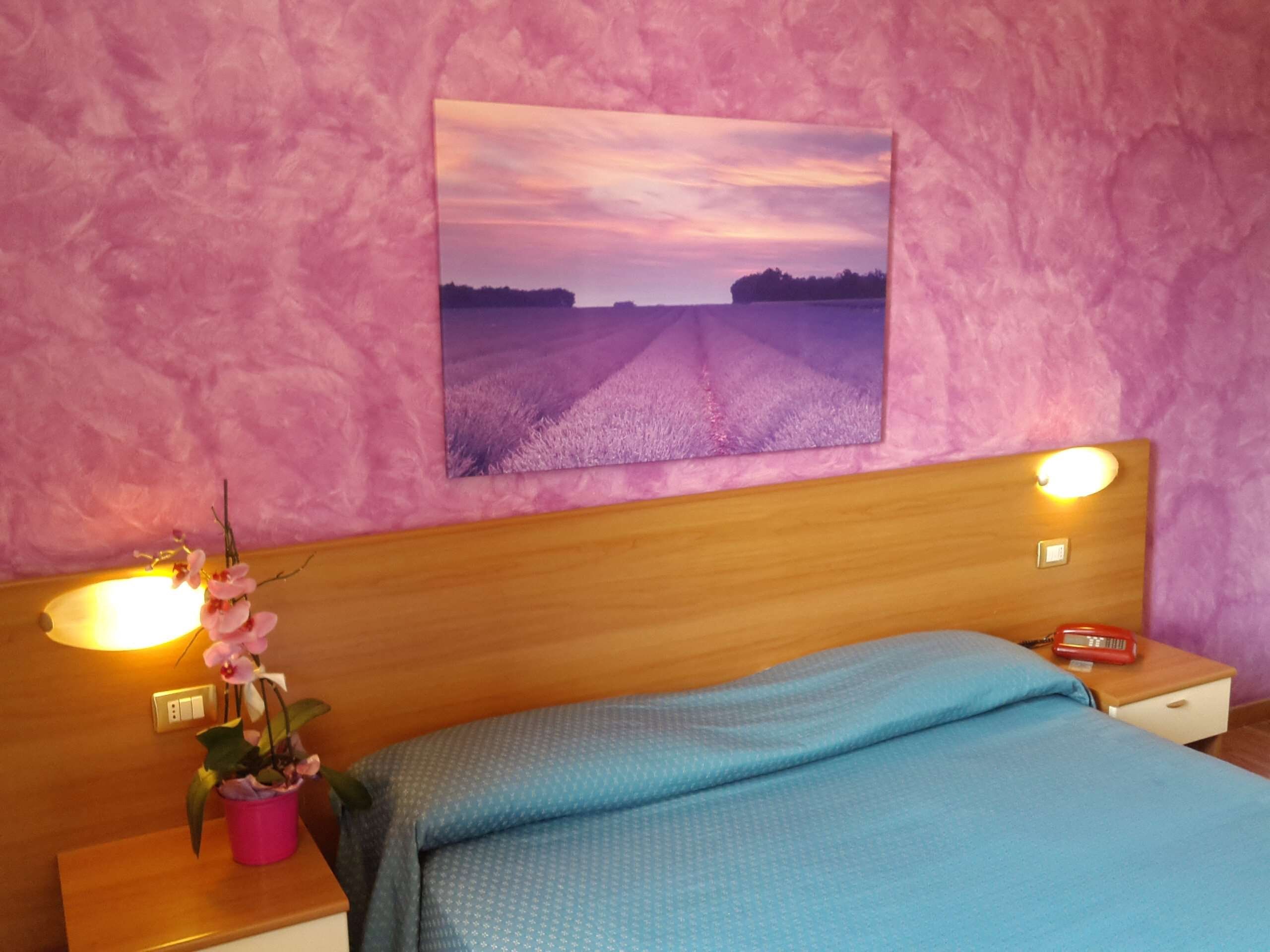 Habitación