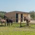 Otros