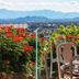 Balcón