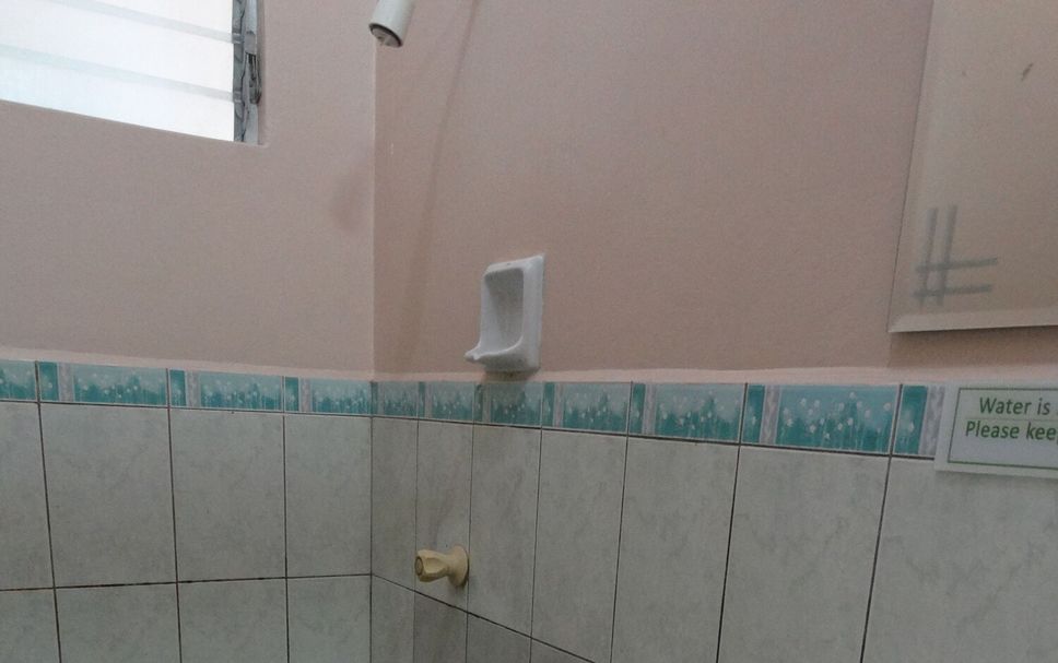 Otros Foto