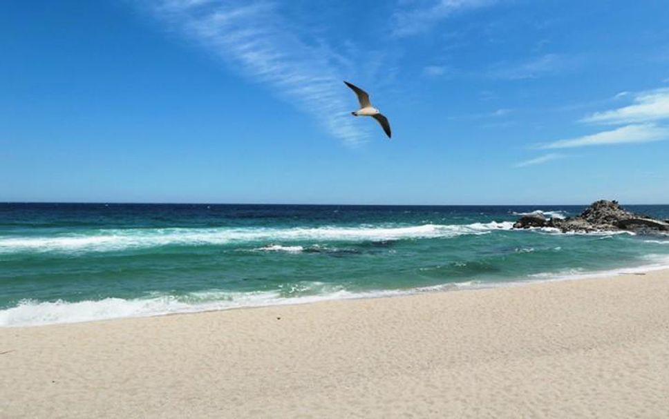 Playa Foto