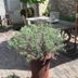 Otros