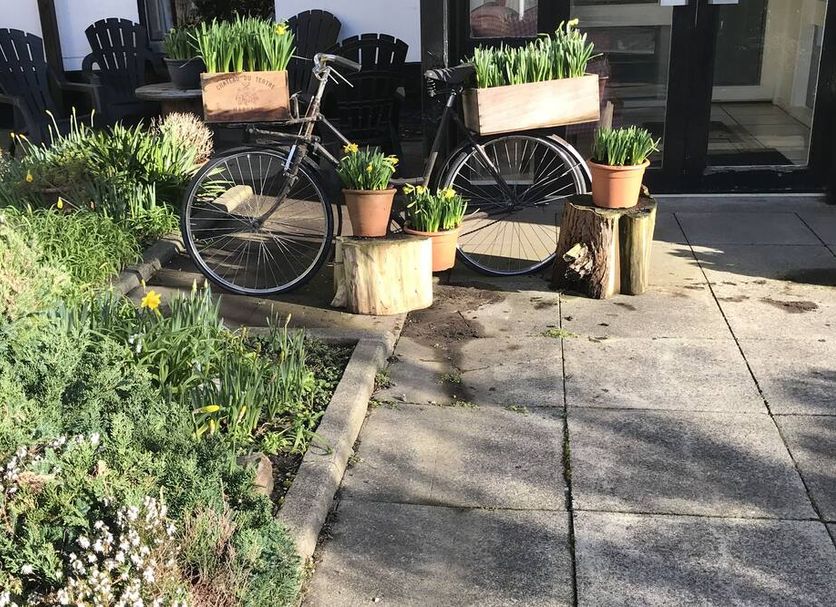 Patio Foto