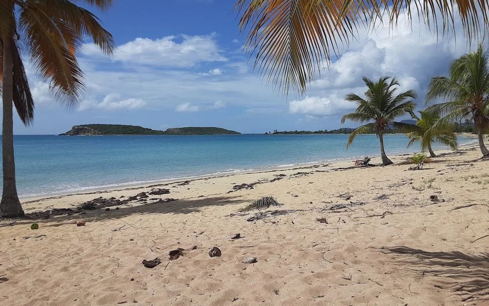 Playa Foto