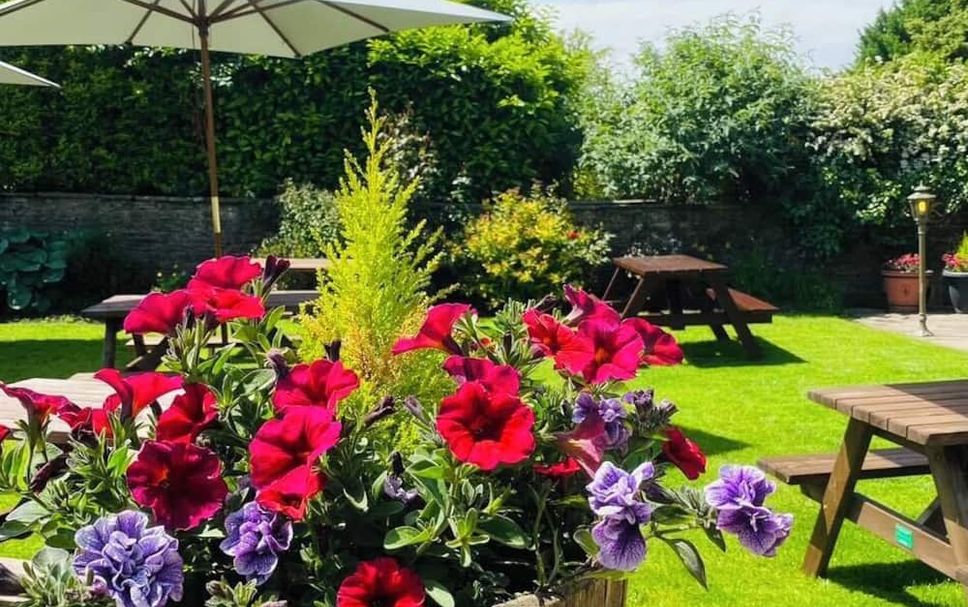 Patio Foto
