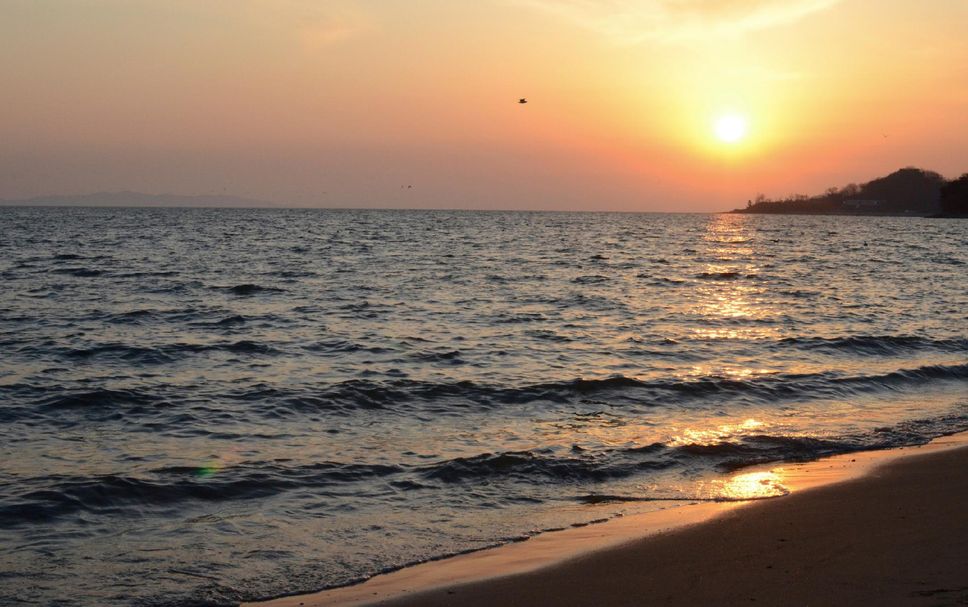 Playa Foto