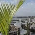 Balcón