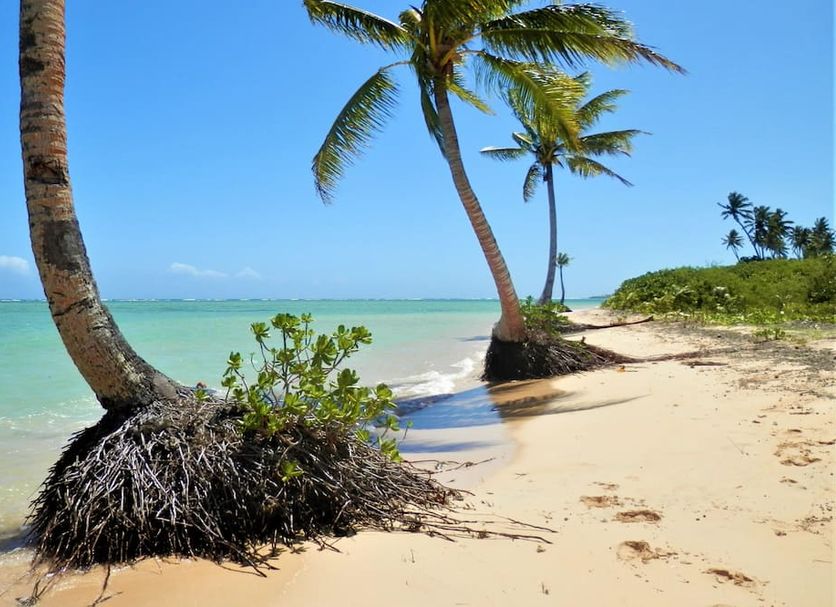Playa Foto