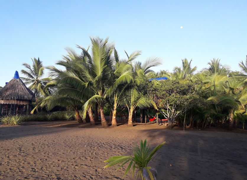 Playa Foto