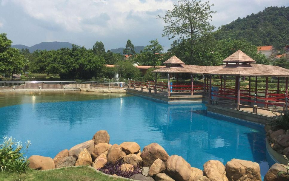 Piscina Foto