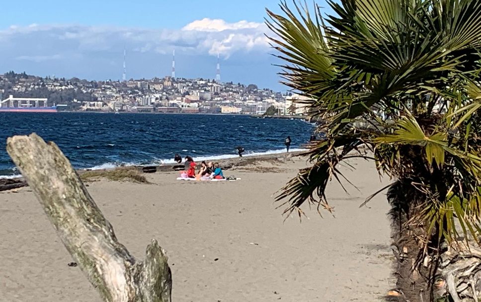 Playa Foto
