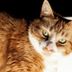 Otros