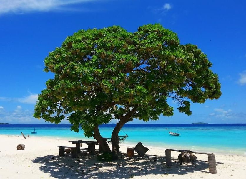 Playa Foto