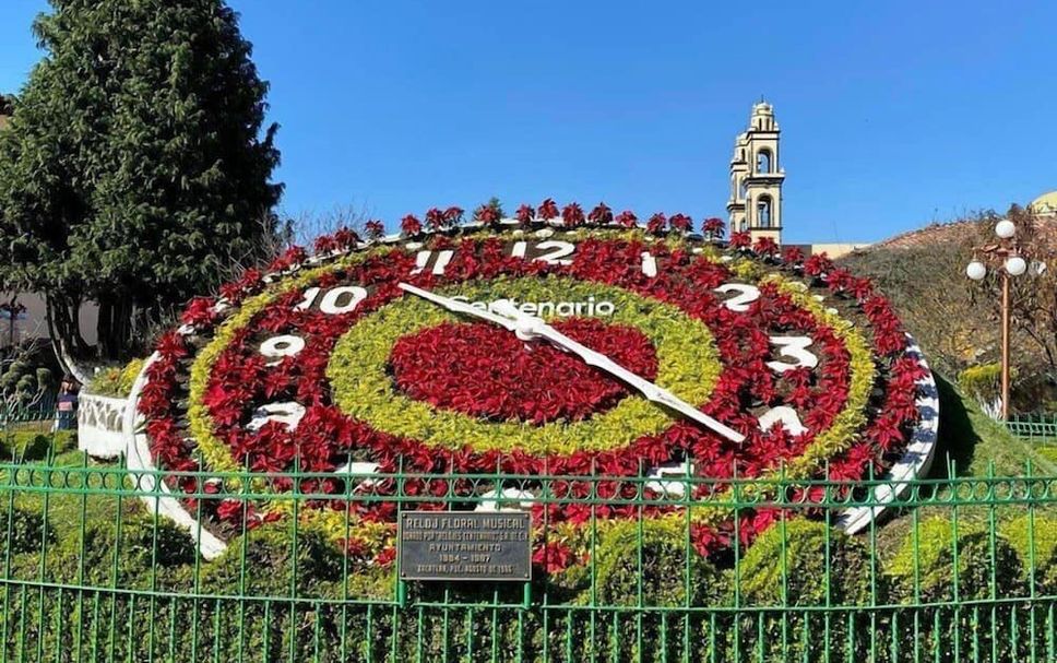 Otros Foto