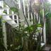 Vista del exterior