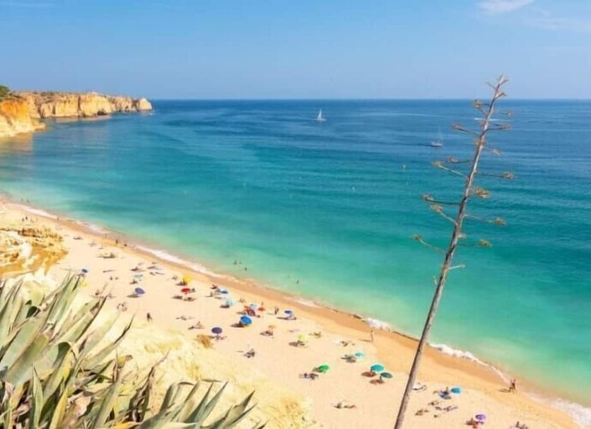 Playa Foto