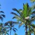 Vista del exterior