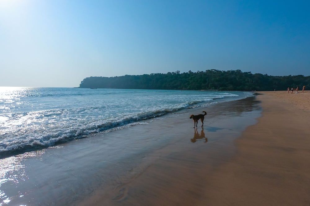 Playa