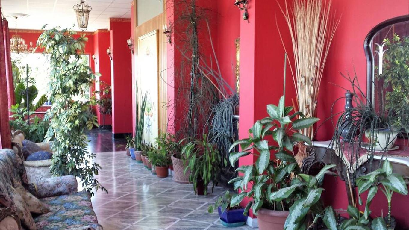 Imagen principal