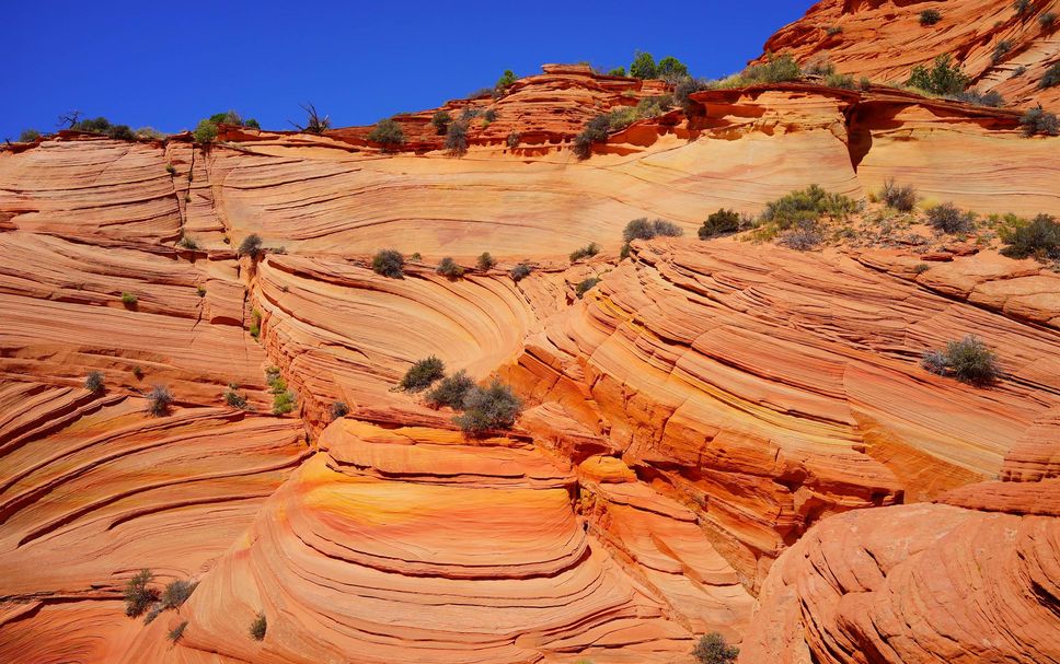 Servicio del hotel Foto