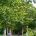 Vista del exterior