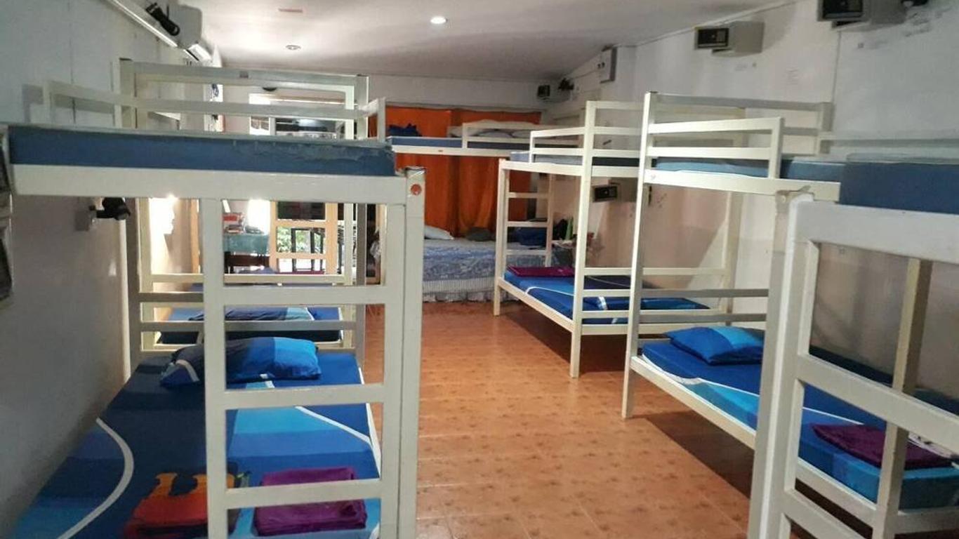 Imagen principal