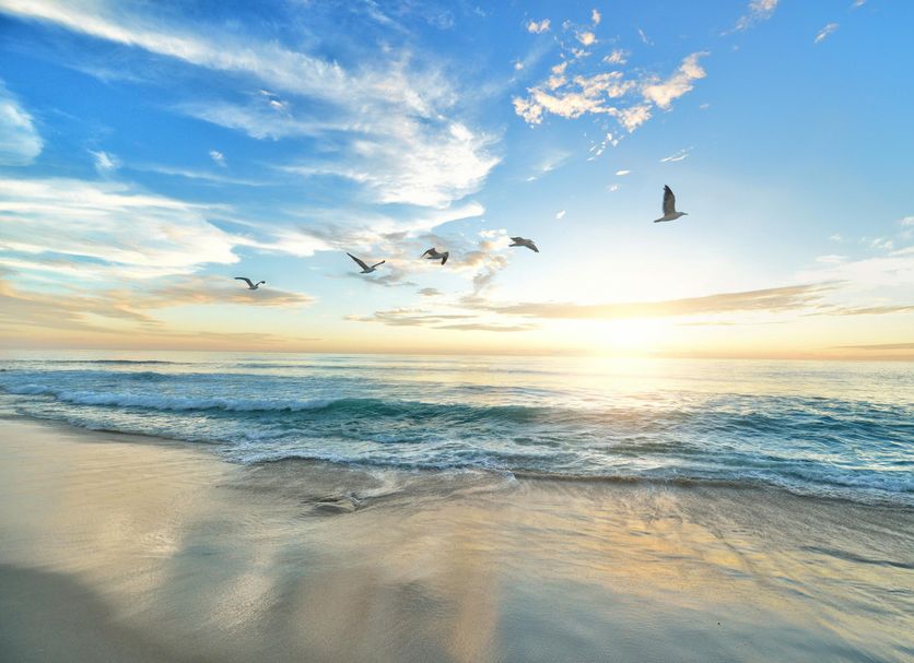 Playa Foto