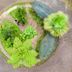 Otros
