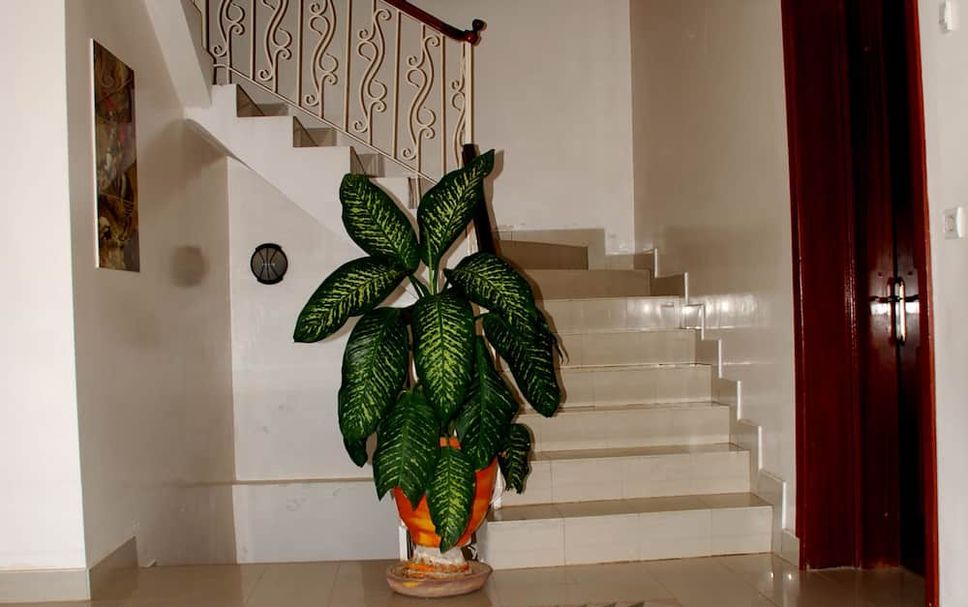 Escaleras Foto