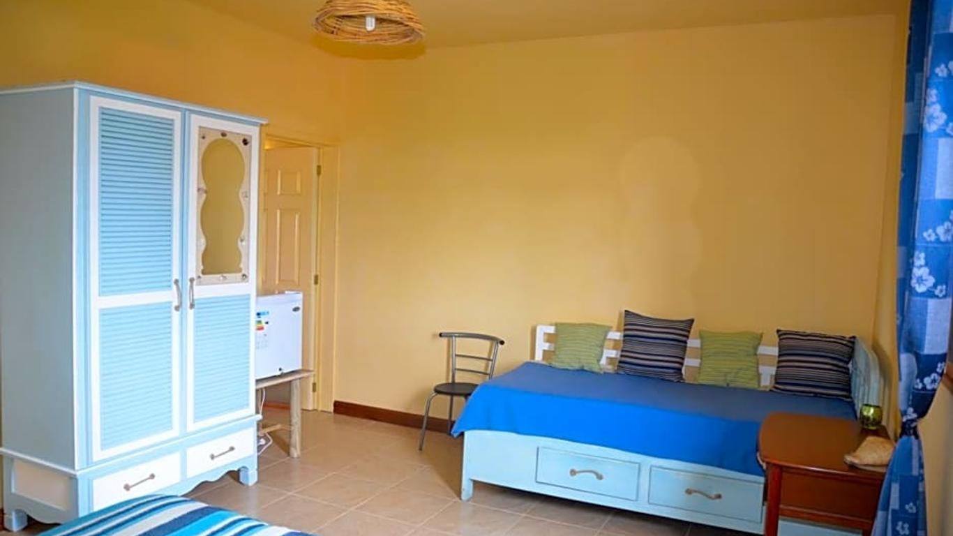Imagen principal
