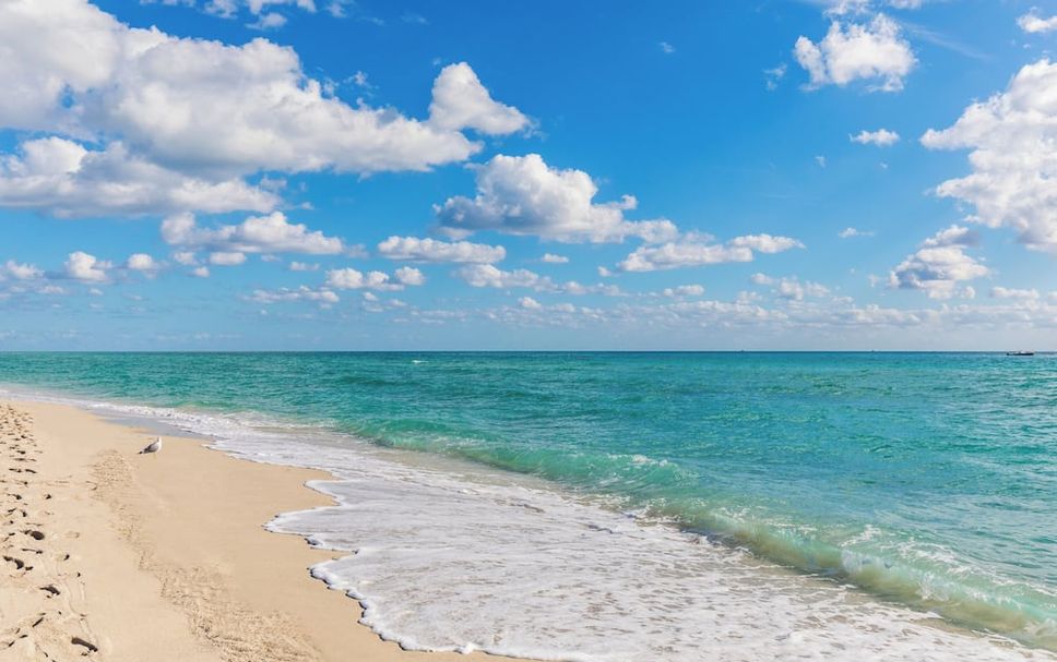 Playa Foto