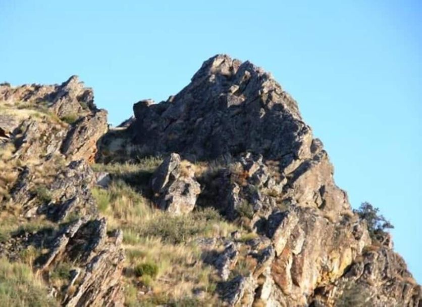 Otros Foto